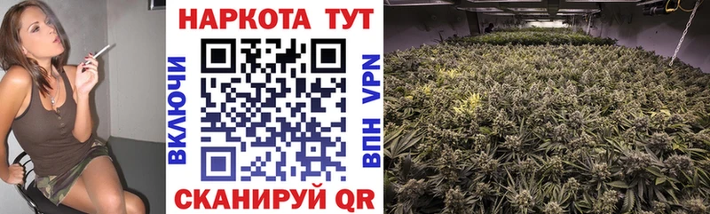 Где можно купить наркотики Мещовск АМФЕТАМИН Меф мяу мяу МАРИХУАНА Alpha-PVP