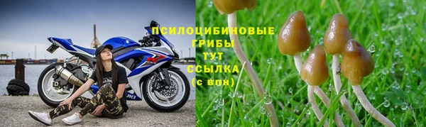 эйфоретик Абдулино