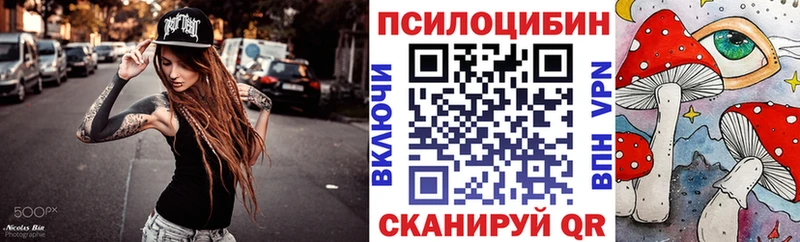 Псилоцибиновые грибы MAGIC MUSHROOMS  как найти наркотики  Мещовск 